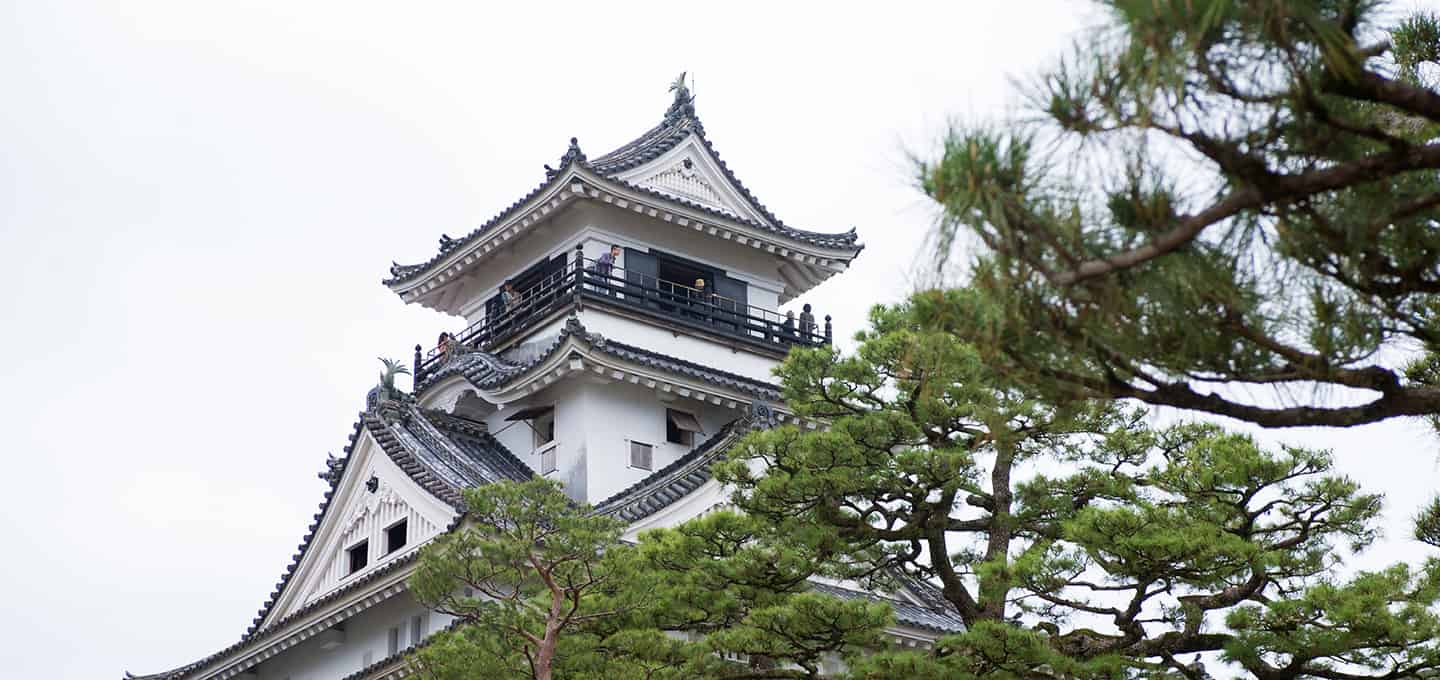 ปราสาทโคจิ (Kochi Castle)