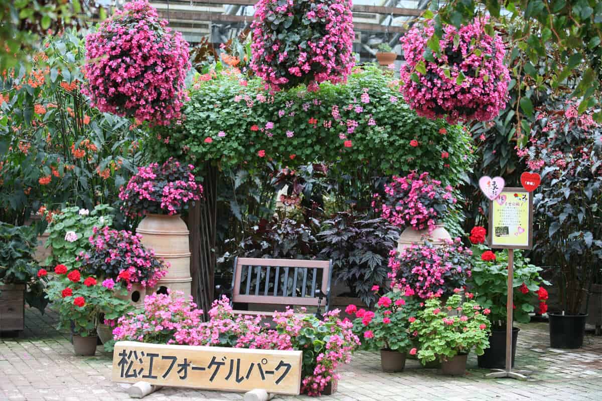 สวนมัตสึเอะ (Matsue Vogel Park)