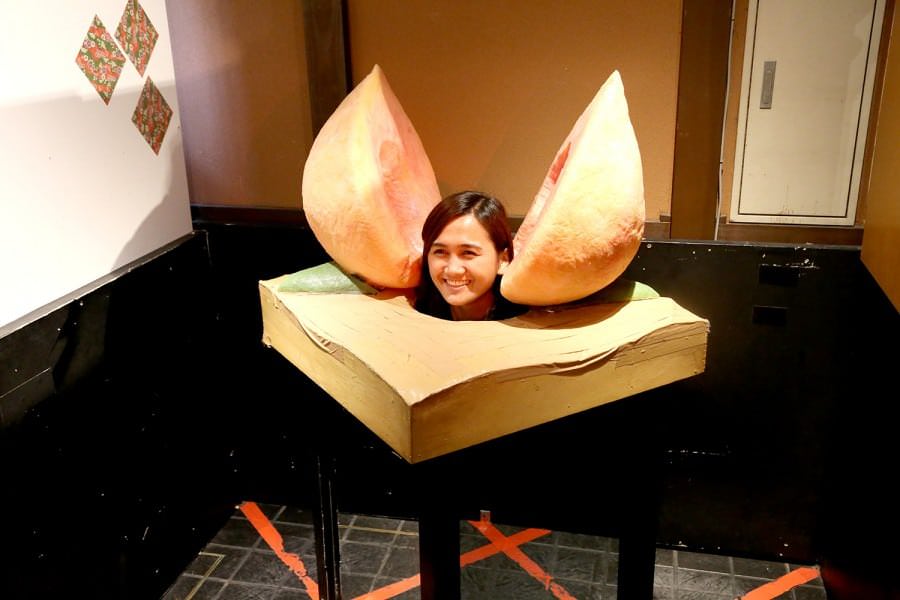 พิพิธภัณฑ์โมโมทาโร่ (Momotaro Karakuri Hakubutsukan Museum)