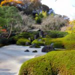 51c17233099b5f3f2157b76190f68237_m