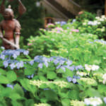 533e8885c31946400715f61e3febf65f_l