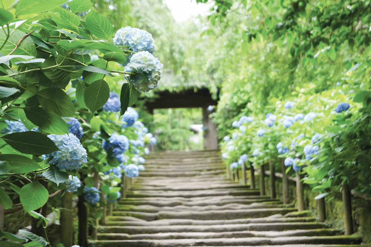 หน้าทางเข้า Meigetsuin Temple