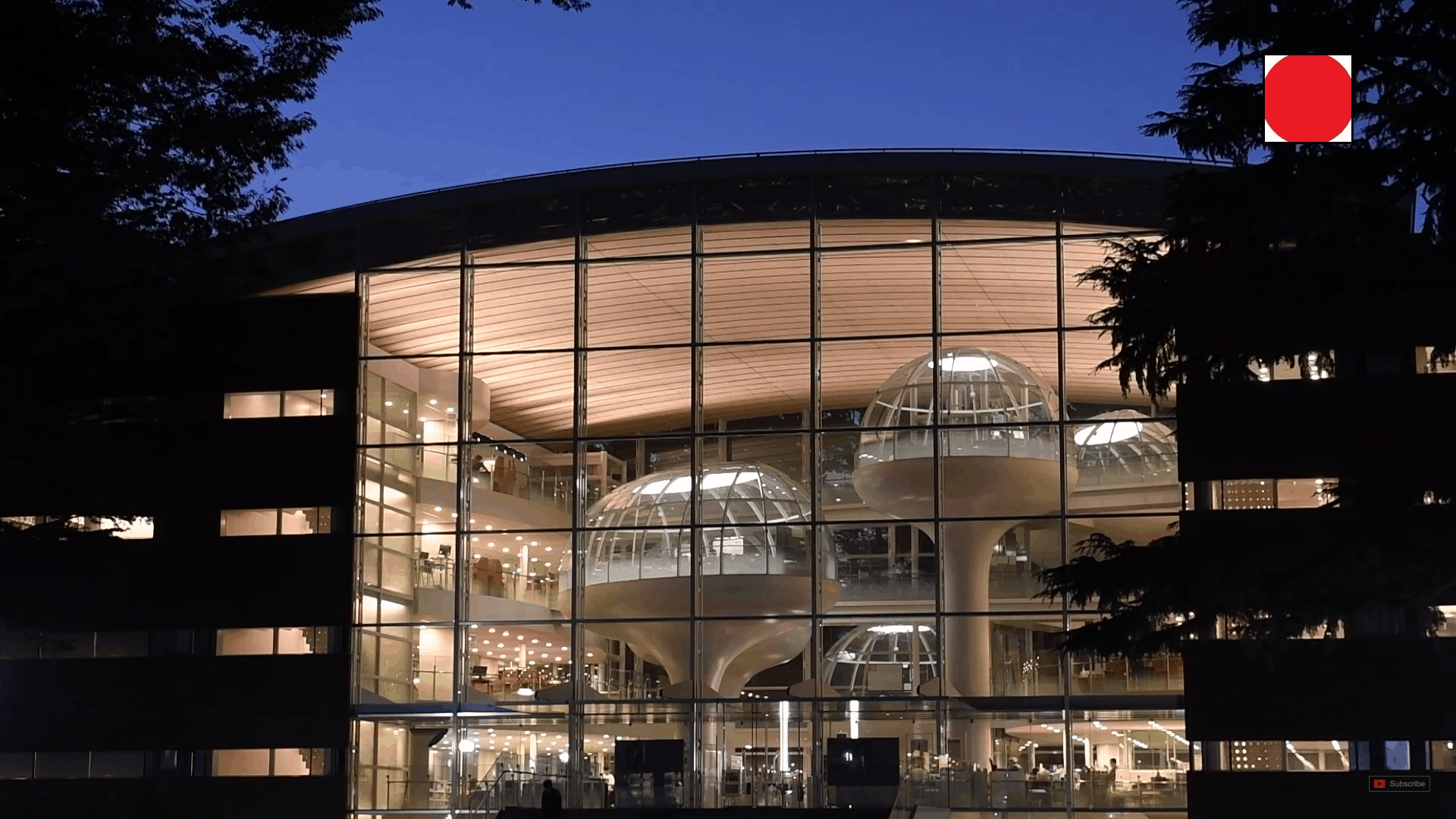 Seikei University Library | Tokyo ห้องสมุด สุดเก๋ใน ญี่ปุ่น