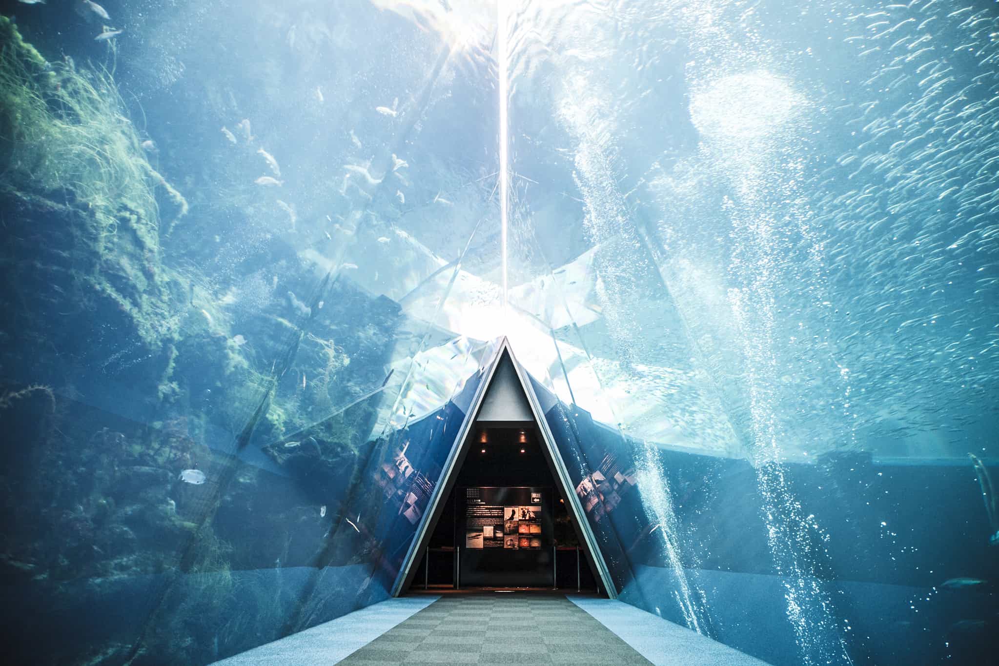 Aquamarine Fukushima