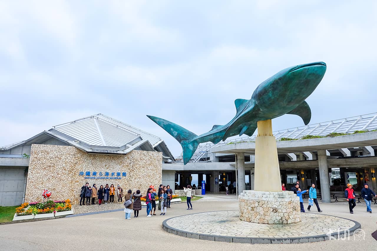 อควาเรียม Churaumi Aquarium ที่โอกินาว่า