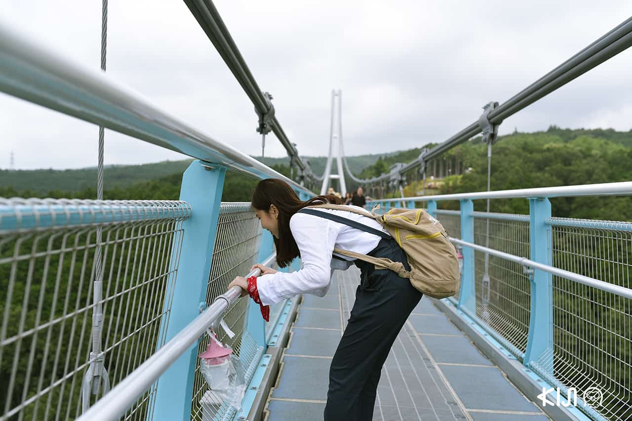 มิชิมะ สกายวอล์ค (Mishima Skywalk)