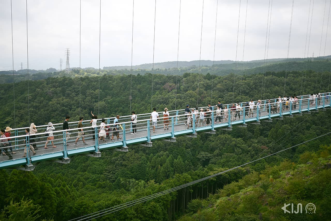 มิชิมะสกายวอล์ค (Mishima Skywalk)