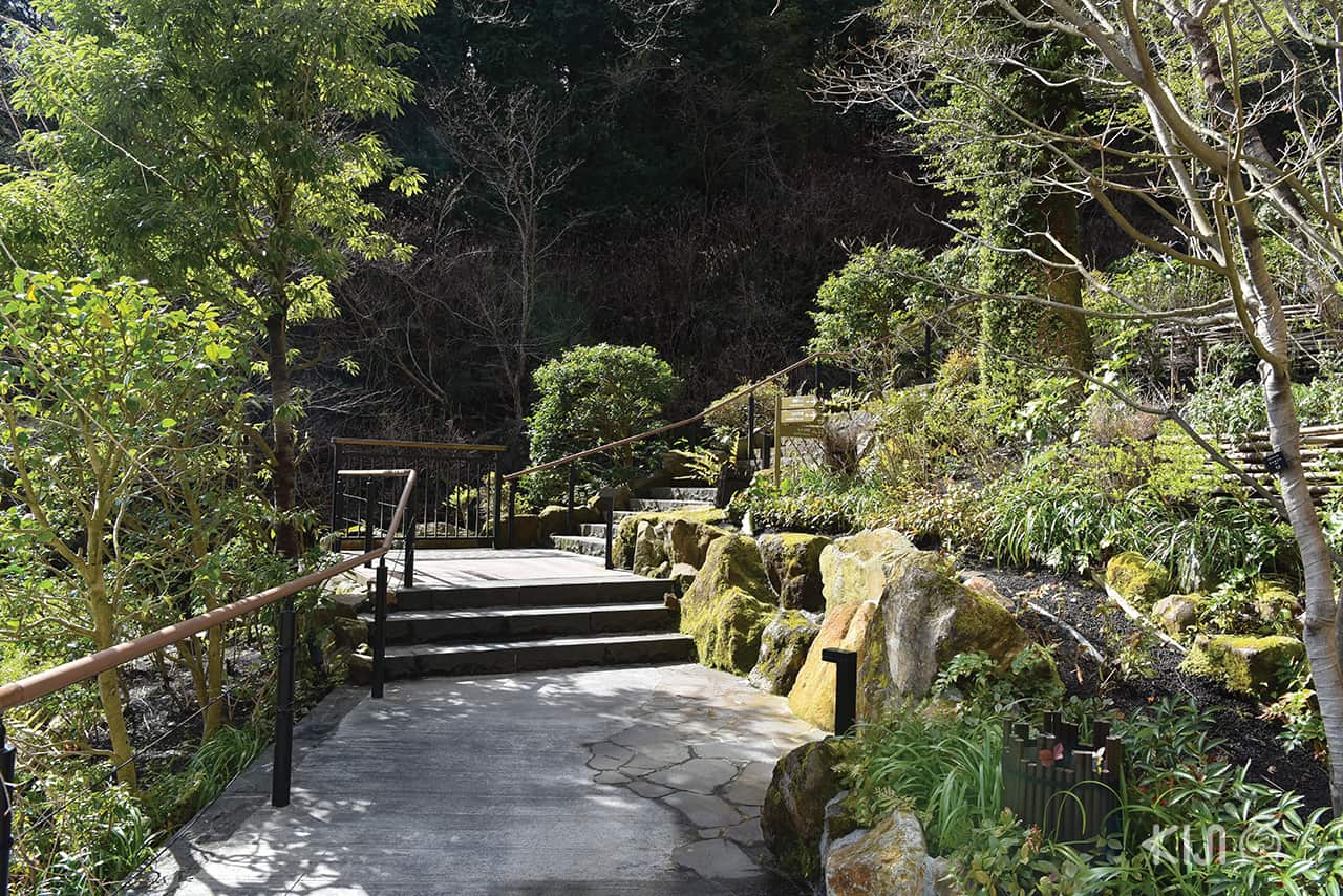 บรรยากาศรอบๆ Hakone Kowakien Tenyu