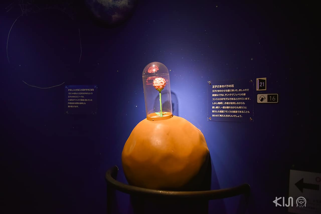 โซนต่างๆ ของพิพิธภัณฑ์เจ้าชายน้อย ที่ฮาโกเน่