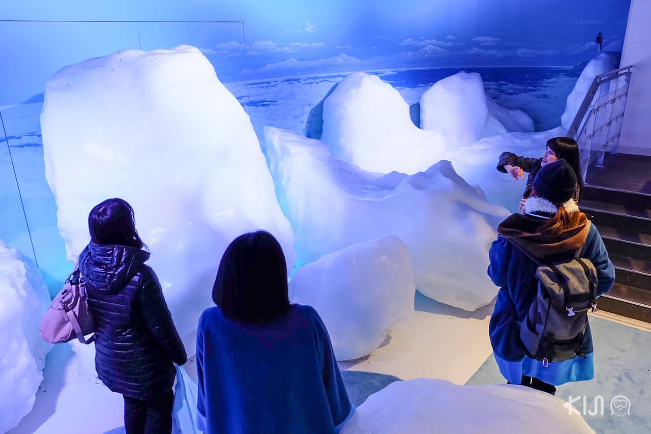 Okhotsk Ryuhyo Museum จังหวัดฮอกไกโด