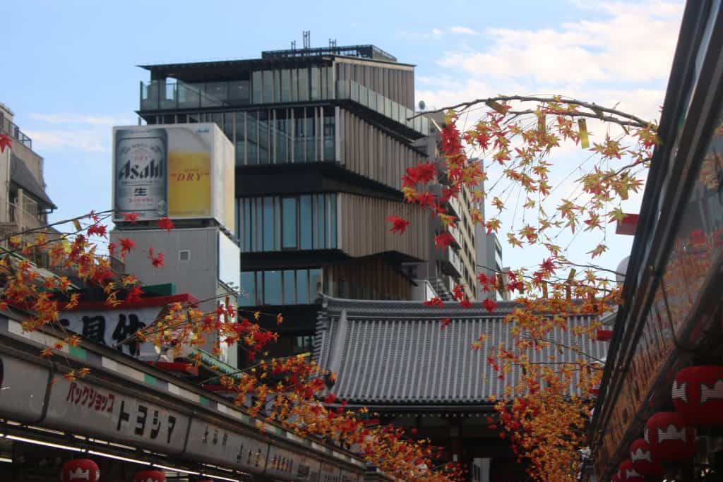 Asakusa Culture Tourist Information Center ในช่วงฤดูใบไม้เปลี่ยนสี
