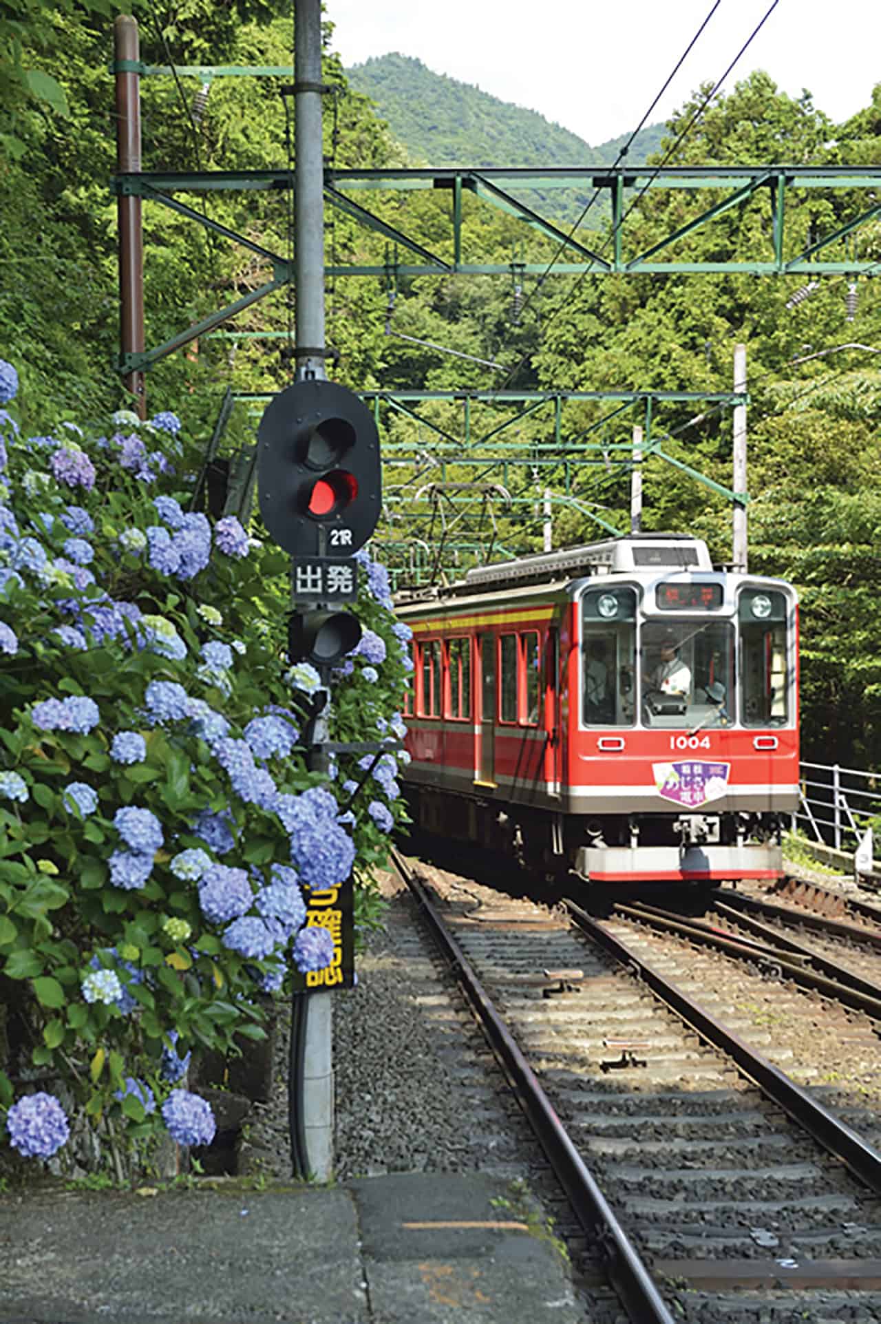 Hakone Kamakura Pass: เมืองฮาโกเน่ มีเส้นทางรถไฟสายดอกไฮเดรนเยีย (Hydrangea Train หรือ Ajisai Train)