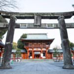 0ab35f2f-197c-4d4f-9549-43e6bd0ba28e_l