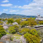 ปราสาทคุมาโมโตะปัจจุบันยังปิดซ่อมแซม แต่ยังถือเป็นจุดชมซากุระที่งดงามของเมือง Kumamoto