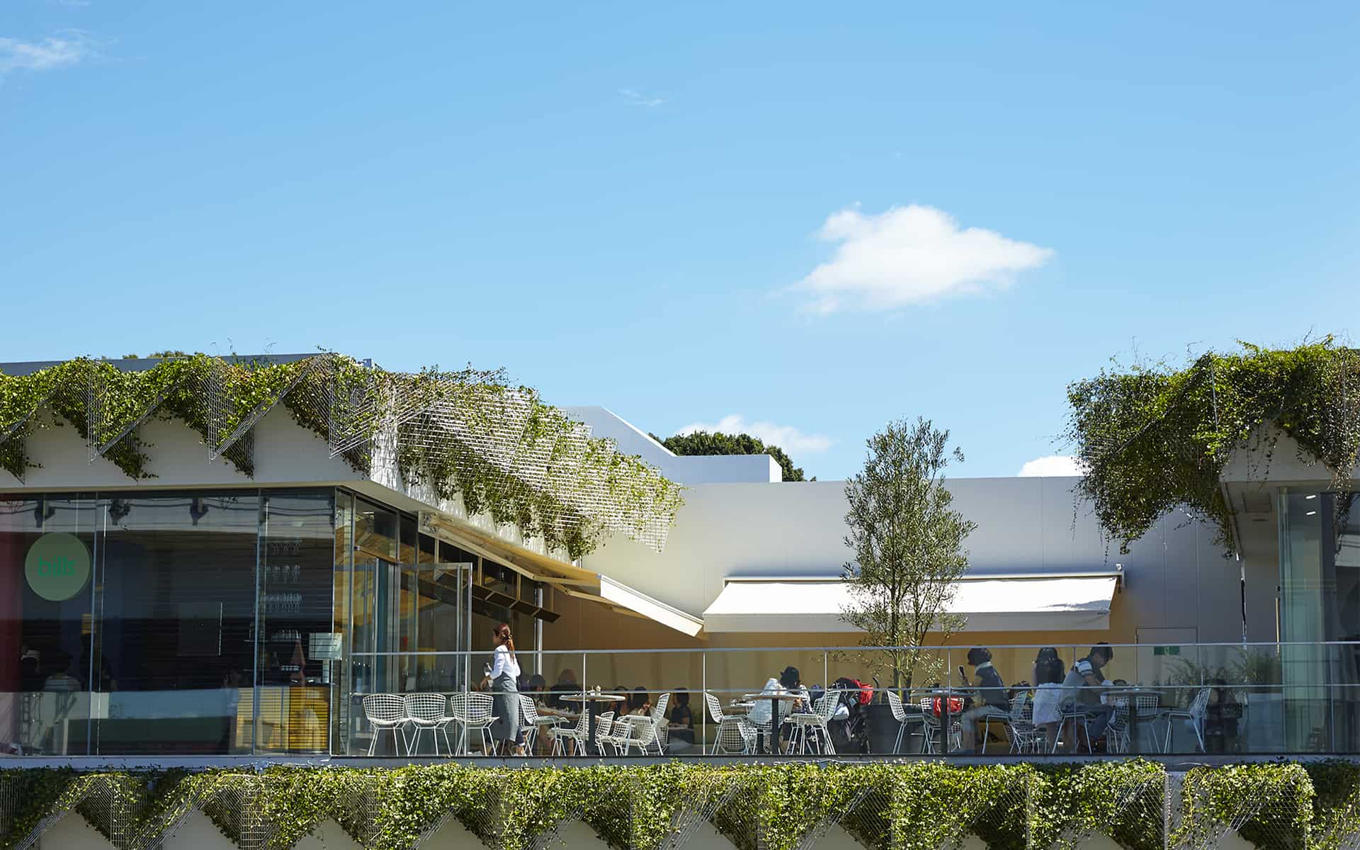 Rooftop Cafe at Marronier Court