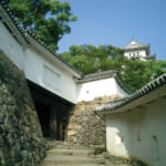 545be4f210a1702f70ade3da98491119_m