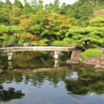 5770056a47c88efb3118437b48e55088_s