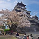 6fcbba753a81c20d978c3d2a039402e6.jpg.pagespeed.ce.Rg-SobwIuF