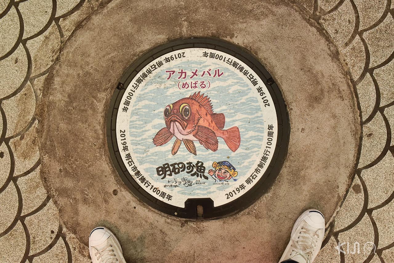 ฝาท่อลายปลาที่ Suma Aqualife Park ใน โกเบ อากาชิ ฮิเมจิ