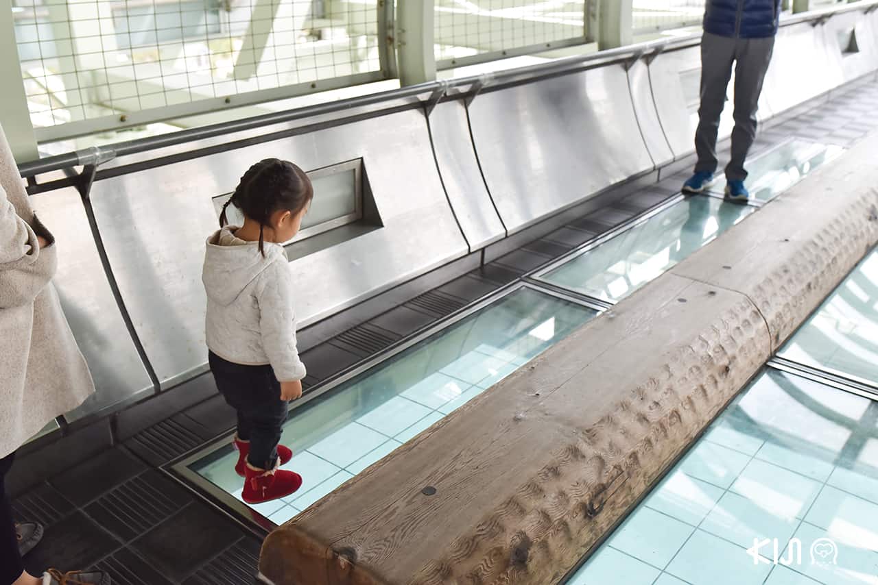 ภายใน Maiko Marine Promenade