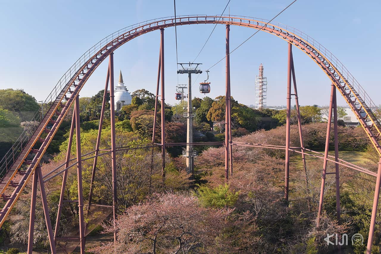 เครื่องเล่น Bandit ที่สวนสนุกโยมิอุริแลนด์ (Yomiuriland) ในช่วงซากุระ