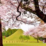 dfc9f685-9ba9-41d0-b1a0-fd0c69d3d273_xl