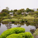 e78762a3-04fc-473b-9edc-dca696137558_xl