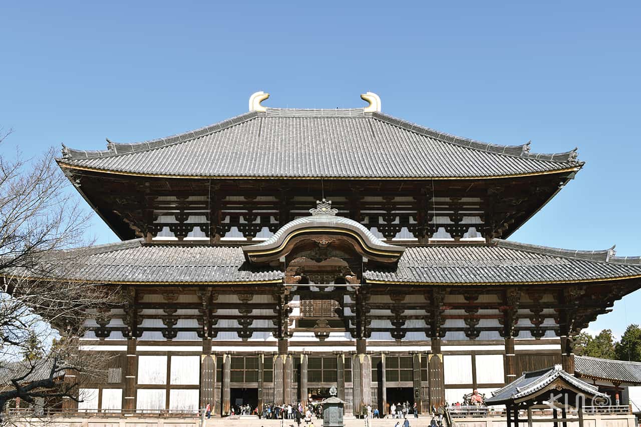 วัดโทไดจิ (Todaiji Temple) อยู่ไม่ไกลจาก Nara Park