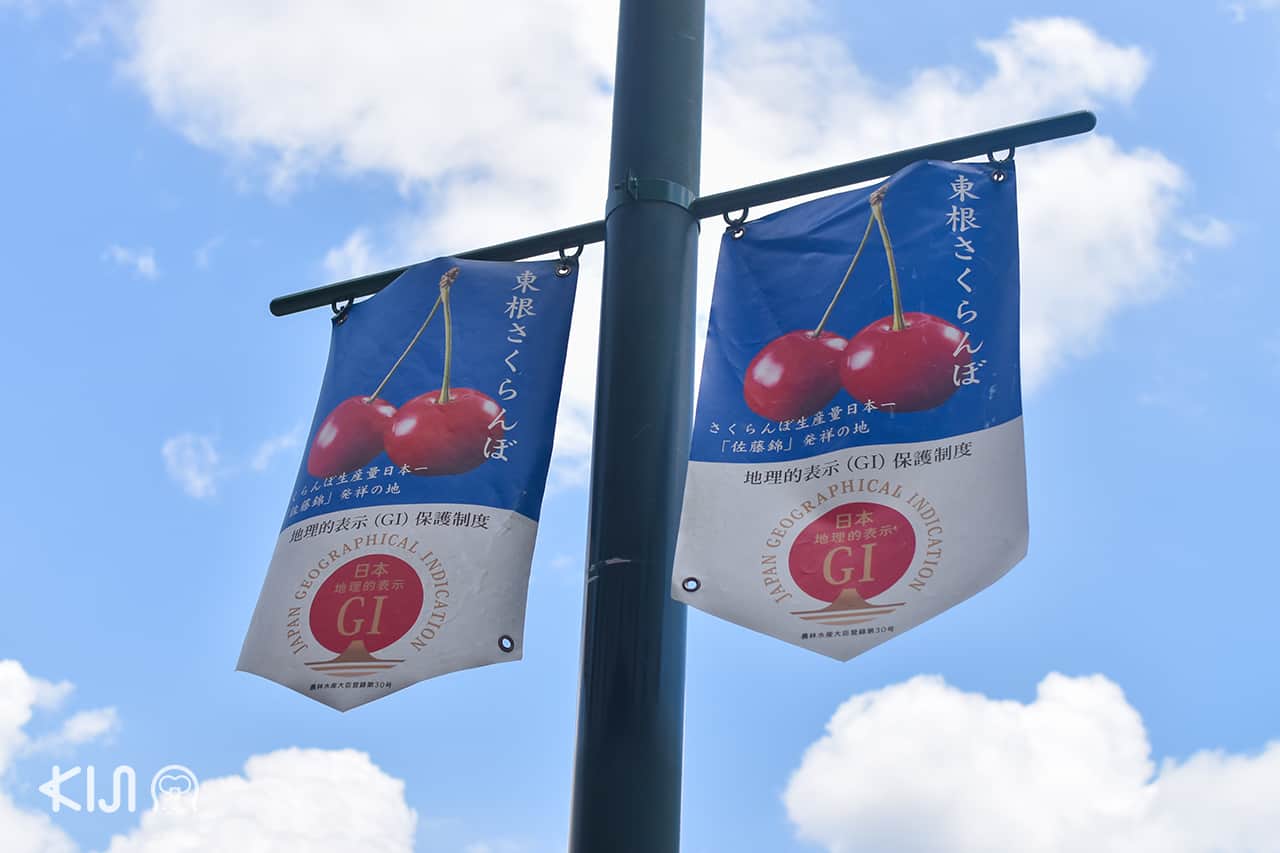 เทศกาลผลเชอร์รี่