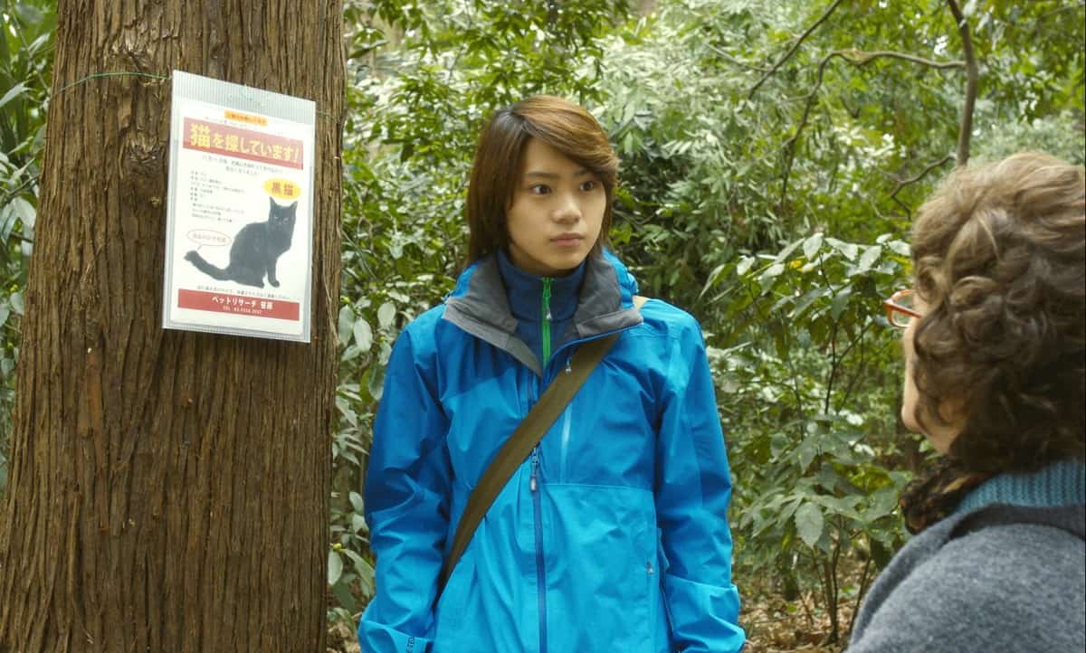 คุณป้า ตามหาแมวจิบิ ภาพตัวอย่างจากภาพยนตร์เรื่อง Only The Cat knows เจ้าเหมียวจิบิ หายไปไหนนะ?