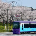 Tokyo Sakura Tram1_Tokyo_Japan
