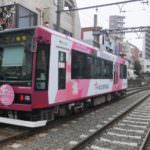 Tokyo Sakura Tram2_Tokyo_Japan