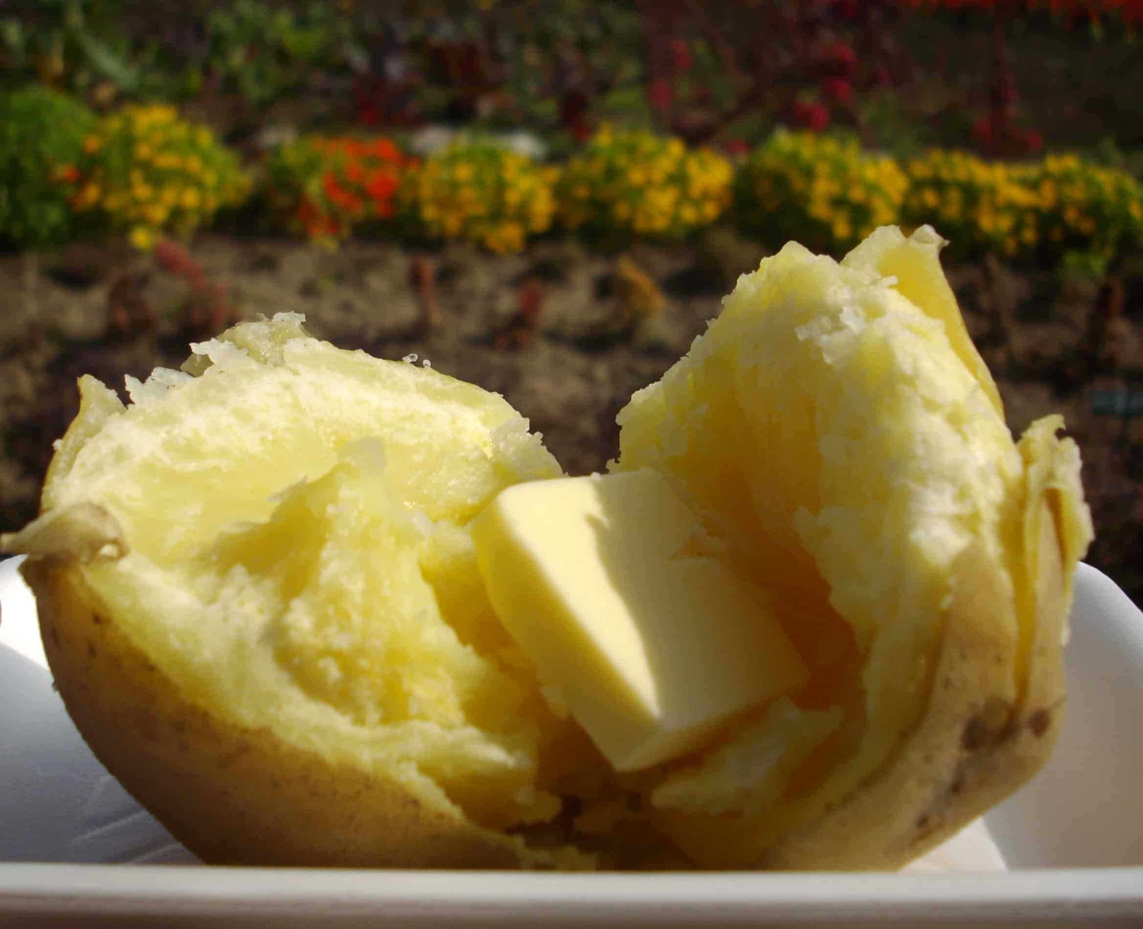 มันฝรั่งเนยที่ Kanno Farm