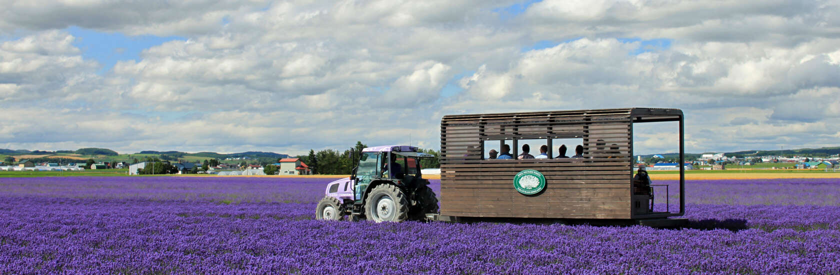 บรรยากาศ ทุ่งลาเวนเดอร์ ฮอกไกโด