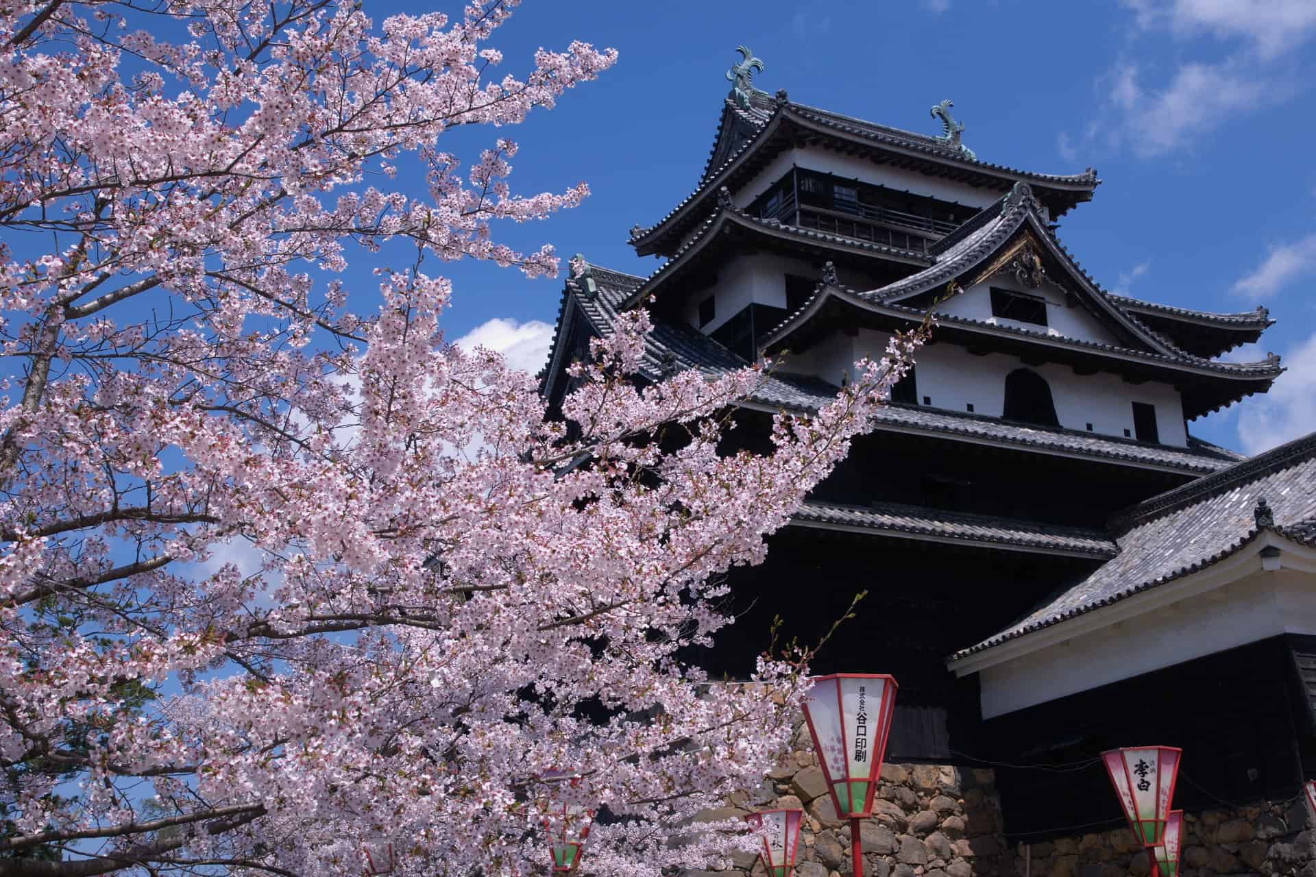 เที่ยวญี่ปุ่น คนน้อย unseen ปราสาทมัตสึเอะ (Matsue Castle : 松江城)