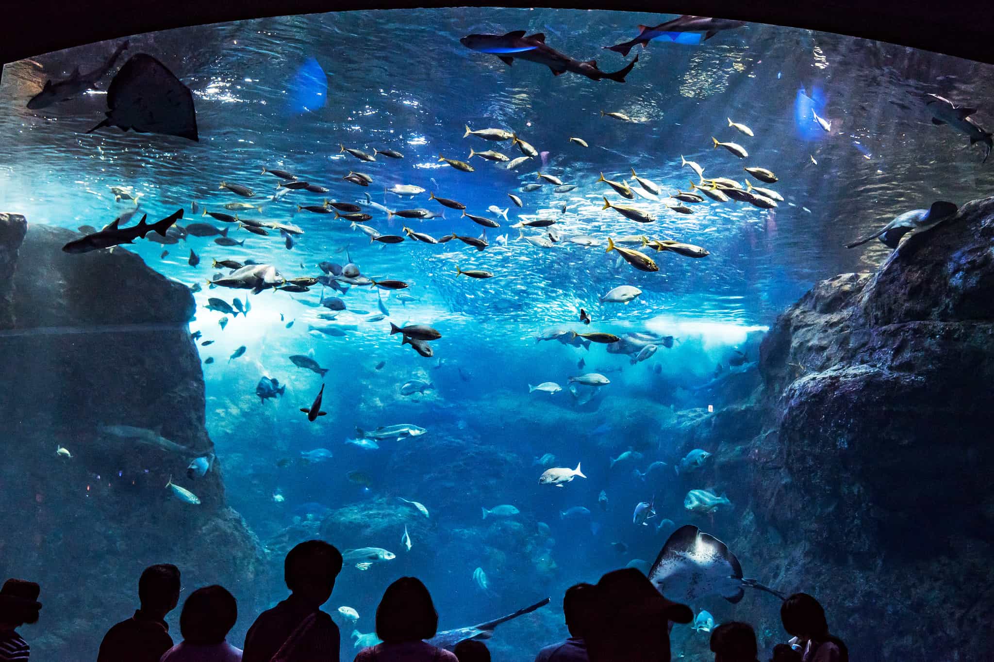 Enoshima Aquarium