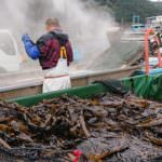 90176517a056d30becd863bc7818bb53