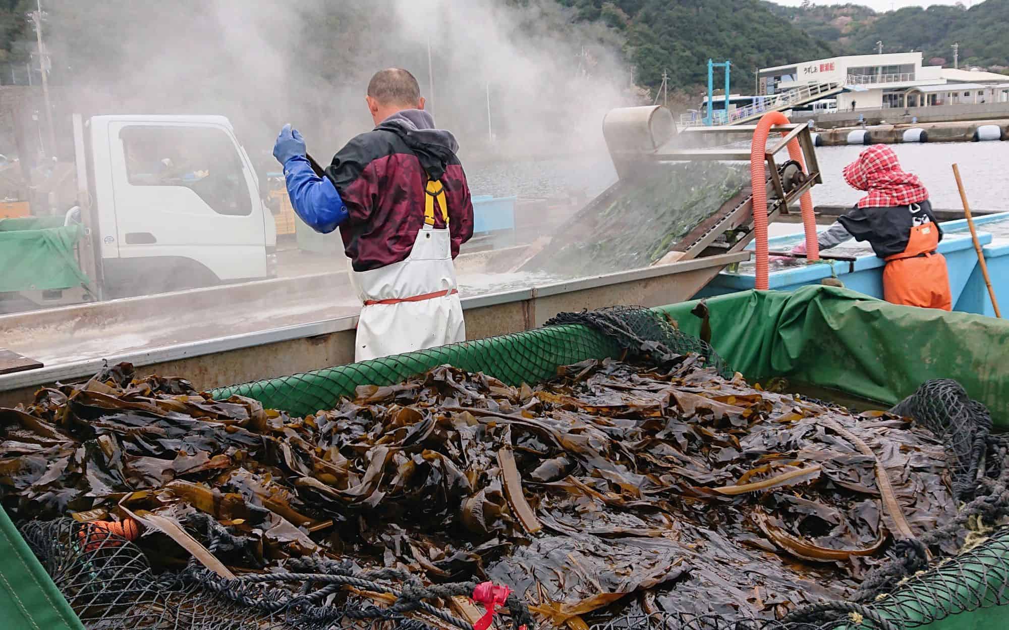 โทคุชิมะ (Tokushima : 徳島県)