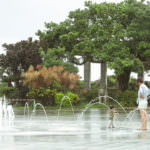 C0009.MP4.00_12_35_02.Still001