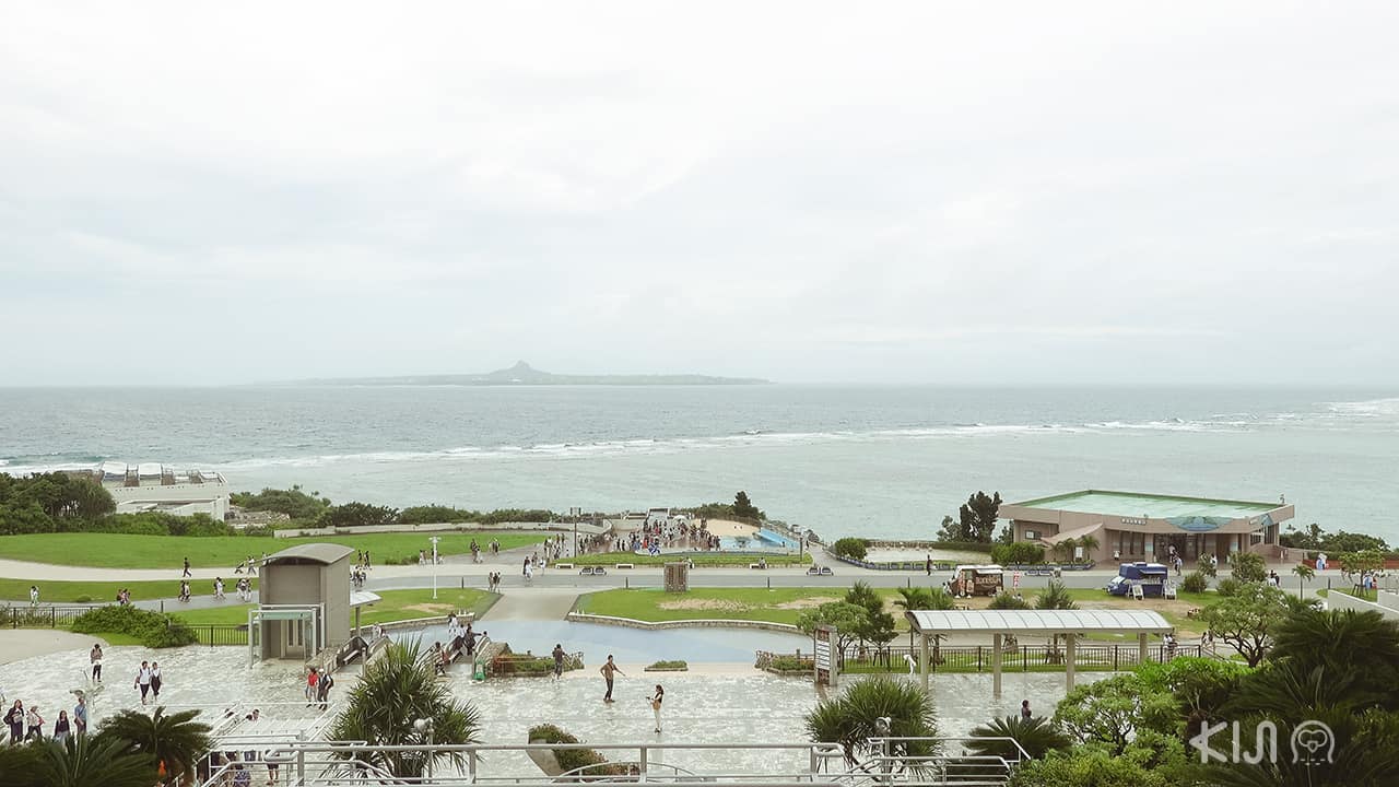 ภายในพิพิธภัณฑ์สัตว์น้ำชูราอุมิ (Okinawa Churaumi Aquarium)