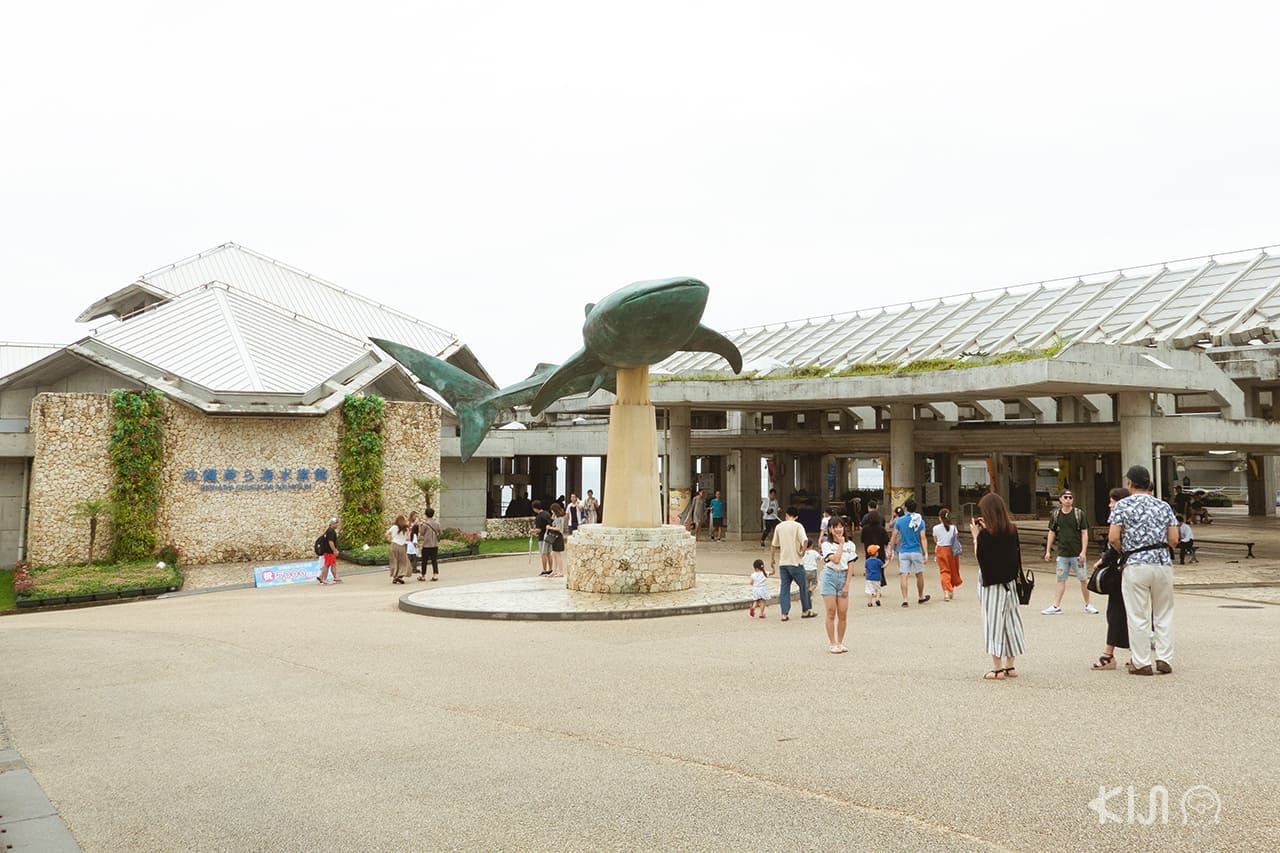 พิพิธภัณฑ์สัตว์น้ำชูราอุมิ (Okinawa Churaumi Aquarium)