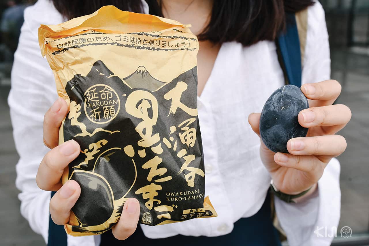 Hakone Free Pass - Owakudani