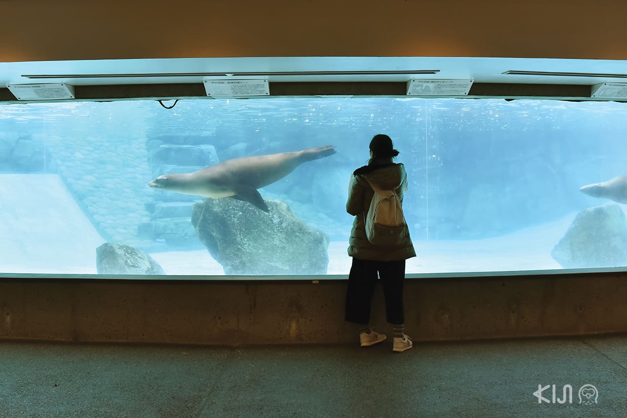 โซนสัตว์น้ำของสวนสัตว์โกเบโอจิ (Kobe Oji Zoo)