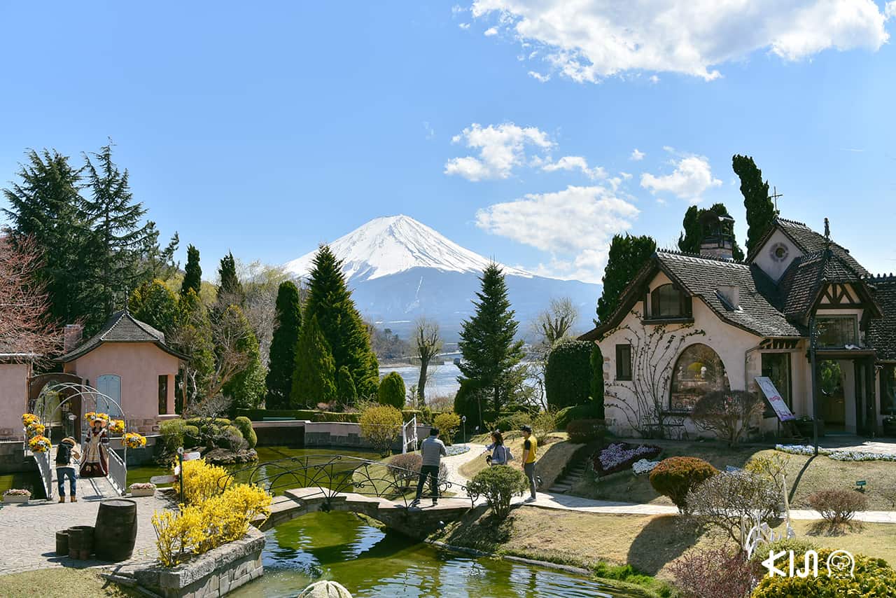 วิวภูเขาไฟฟูจิจาก Kawaguchiko Music Forest Museum