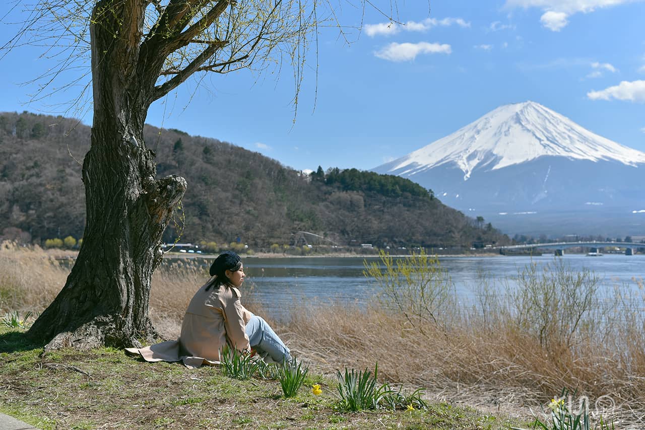 บรรยากาศริมทะเลสาบคาวากุจิโกะ Kawaguchiko