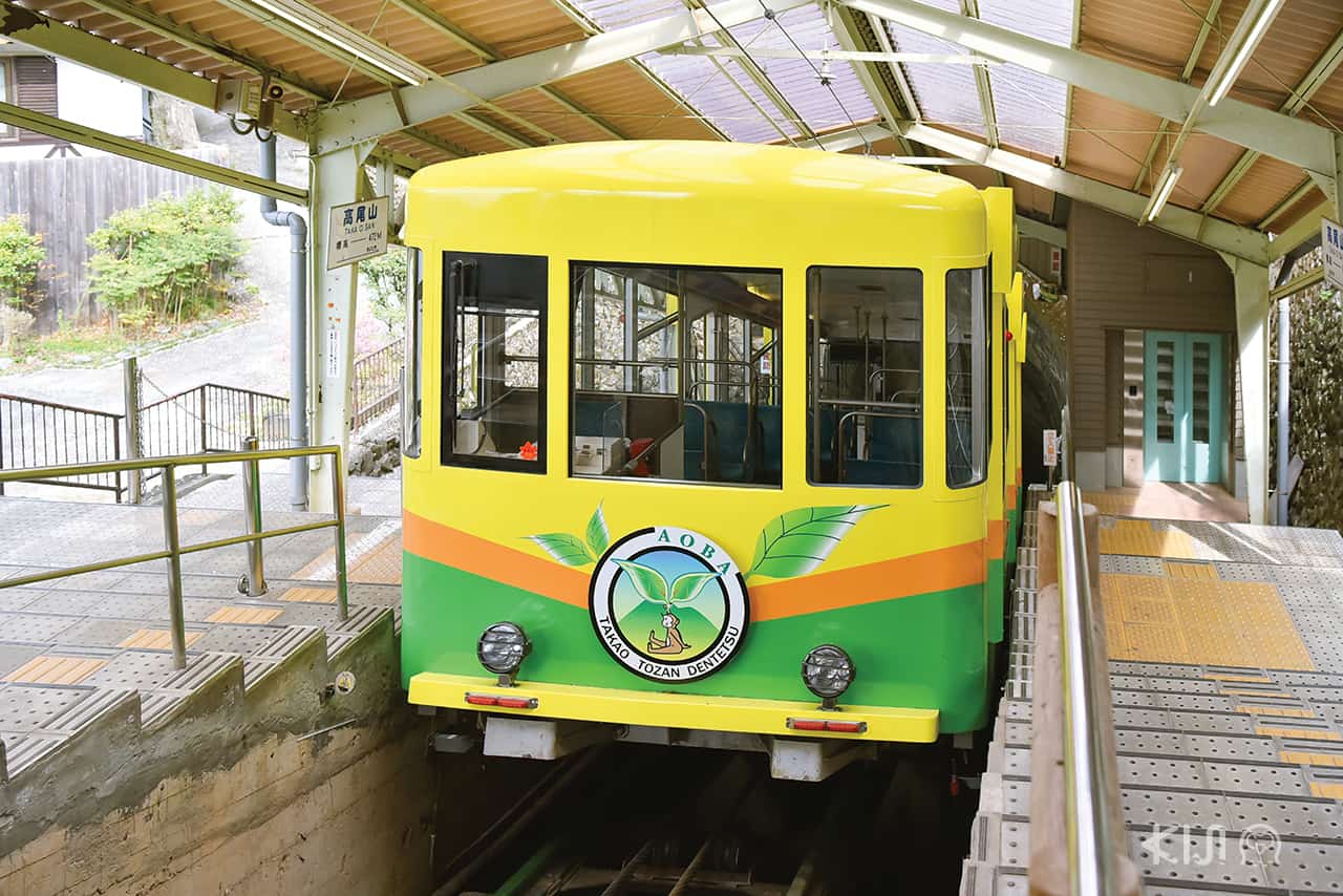 รถไฟ Mt. Takao 1 day Free Ticket