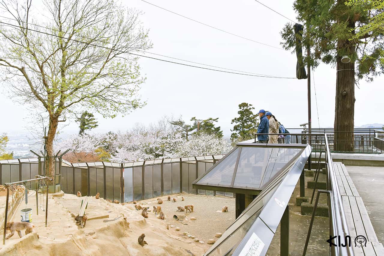 สวนลิงทาคาโอะ