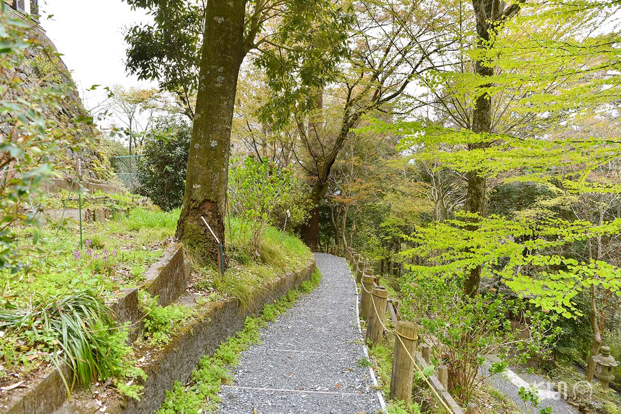 รีวิว ภูเขาทาคาโอะ (Mt.Takao)
