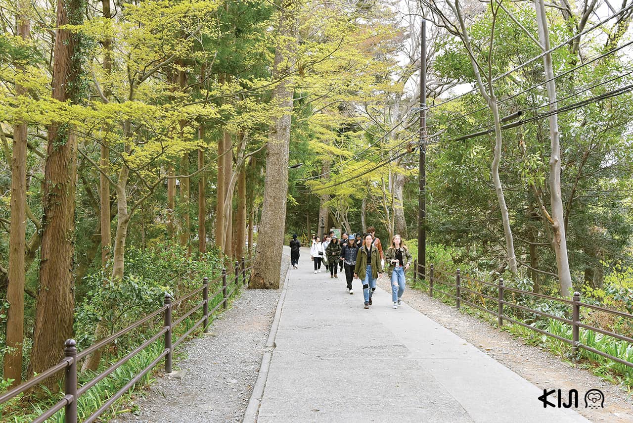 เที่ยวภูเขาทาคาโอะ (Mt.Takao) โตเกียว
