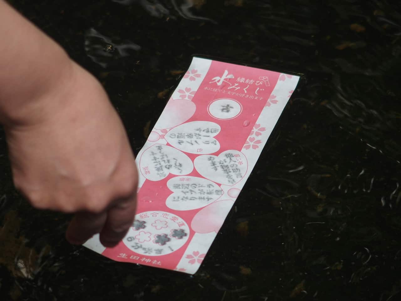 เสี่ยงเซียมซี ที่ ศาลเจ้าอิคุตะ (Ikuta Shrine) ในเมืองโกเบ จังหวัดเฮียวโงะ